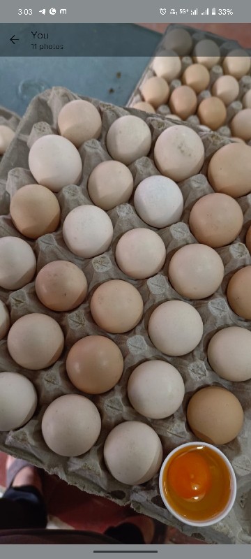 Desi eggs