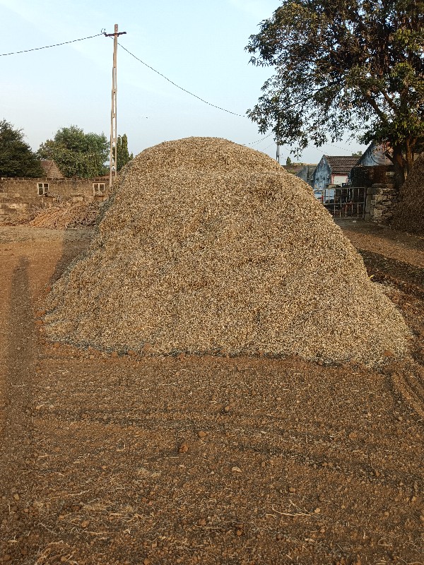 અળદ નો ભુક્કો વ...