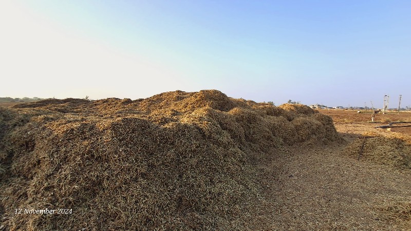 ભુકો વેચવાનો છે