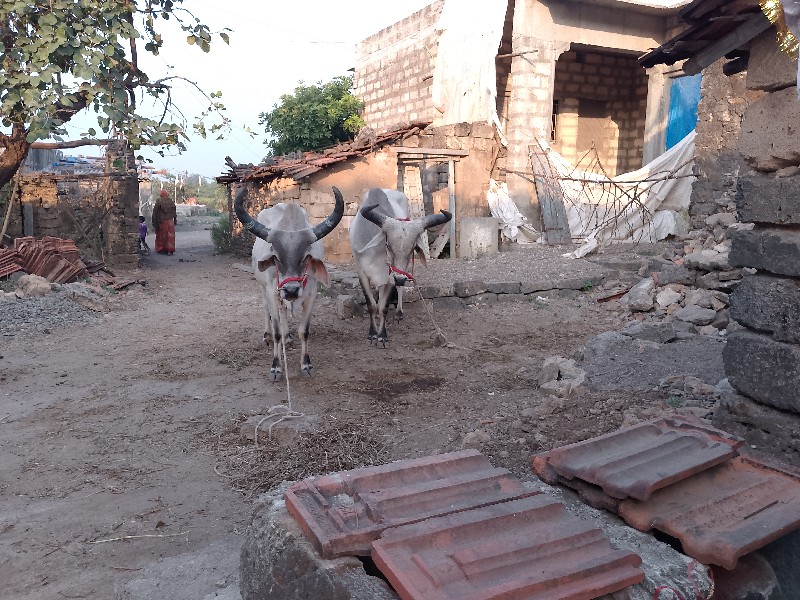 ₹30,000 કિંમત