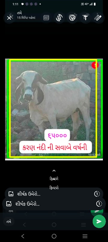 ગીર ગાય અને વાછ...