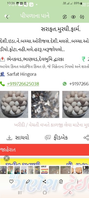 સરાફત.મુરઘી.ફાર...