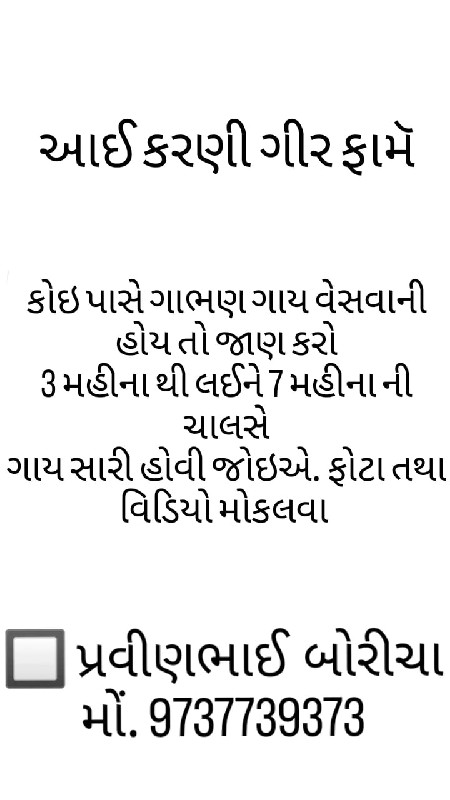 ગાય લેવા નીછે