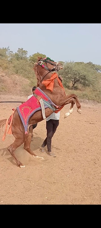 વેસવાની છે