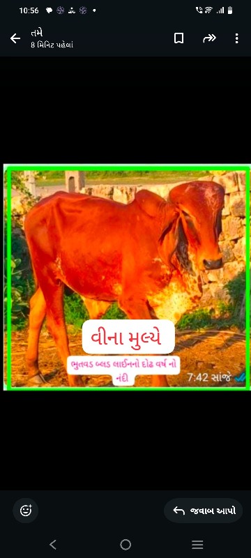 ફ્રી ફ્રી ફ્રી...