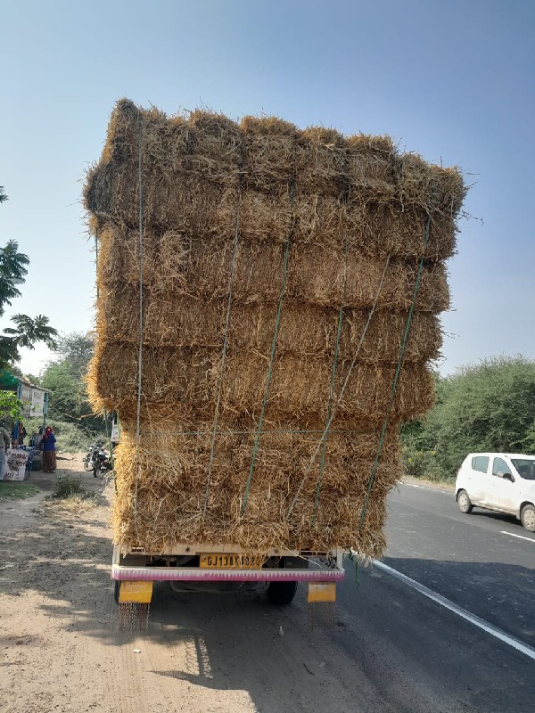 ગંઠા ડાંગર ના