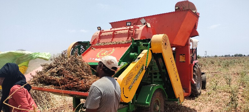 રંગીર ઠેચર વેચવ...