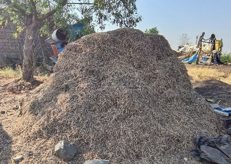 ભુકો વેચવાનો છે