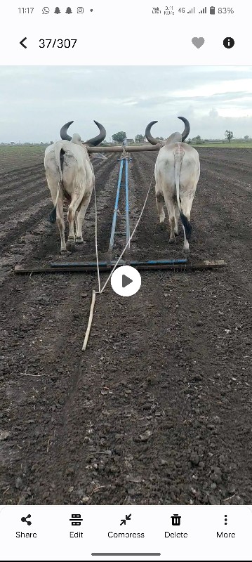 ગોઢલા વેચવાના છ...