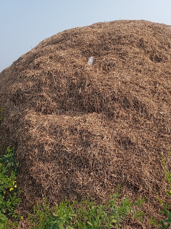 ભુકોવેચવાનોછેવિ...