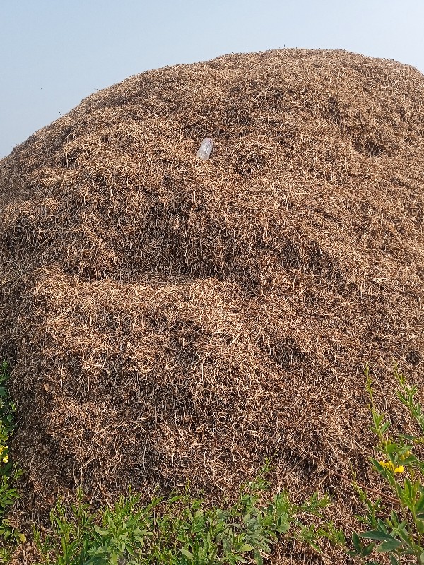 ભુકોવેચવાનોછેવિ...