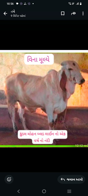 ફ્રી ફ્રી ફ્રી...