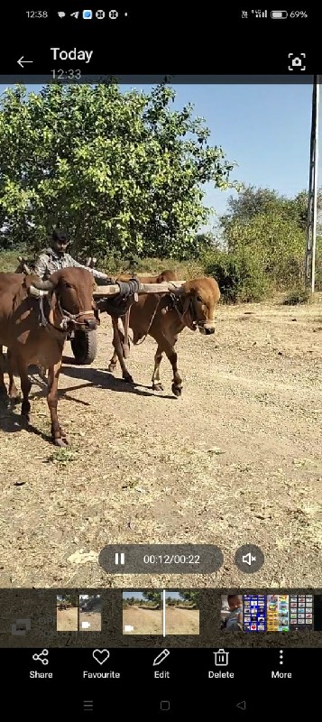 ગૌઢલાવેશવાના છે