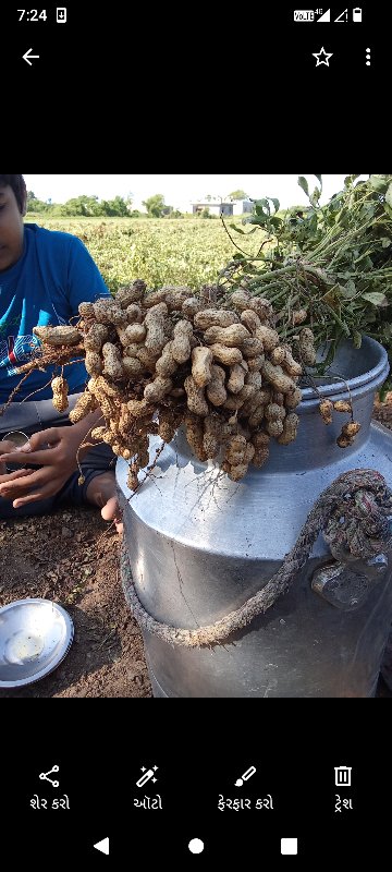 ગીરનાર માડવીનુ....