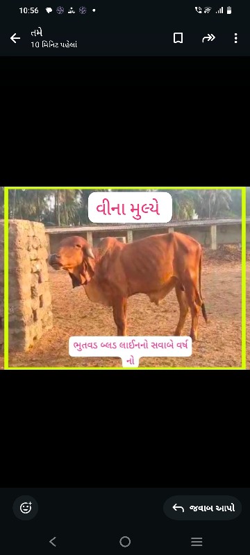 ફ્રી ફ્રી ફ્રી...