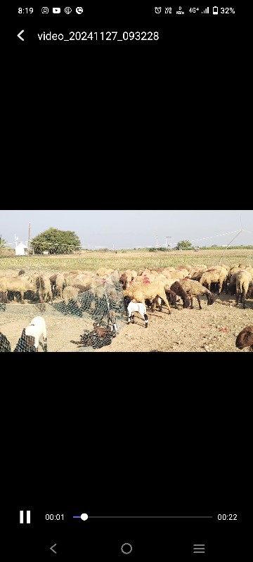 100 ગાડર વેચવાન...