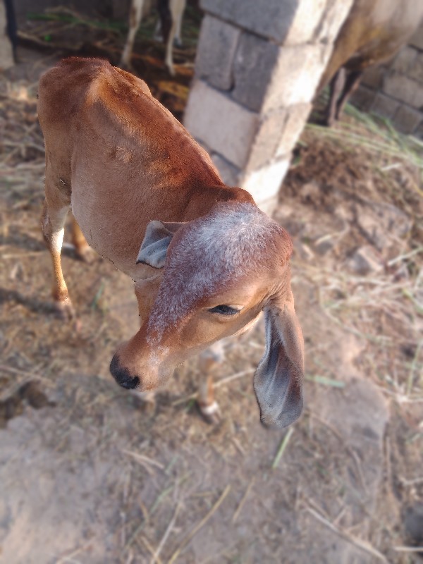 8140100906 આ નં...