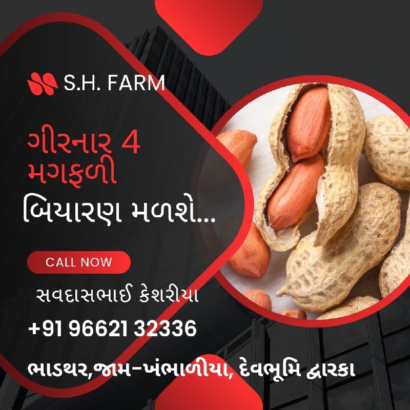 ગીરનાર 4 બિયારણ