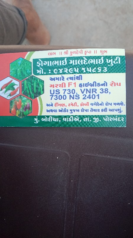 રીંગણ, ટમેટાના...