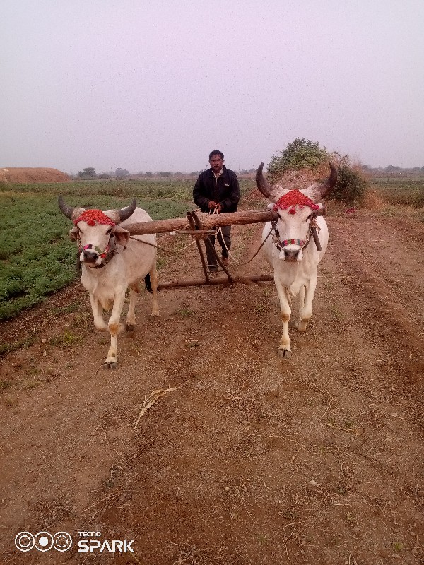 વેચવાનુછે