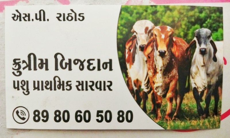 બિજદાન કરાવવા મ...