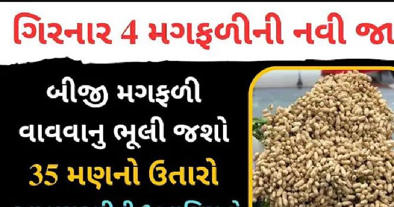 ગિરનાર 4 મગફાડી