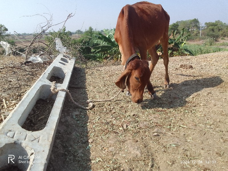 વેચવાની છે