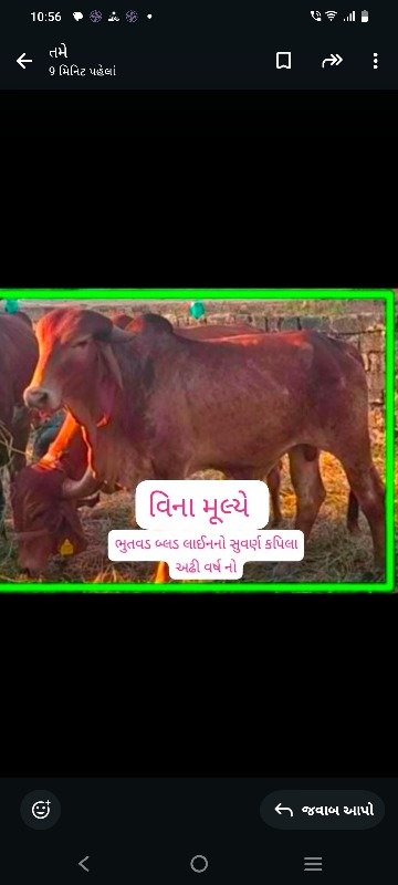 ફ્રી ફ્રી ફ્રી...