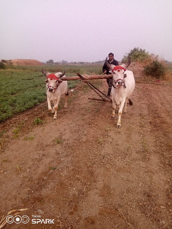 વેચવાનુછે