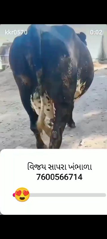 ૩ વેતર. ૯-૧૦ લી...