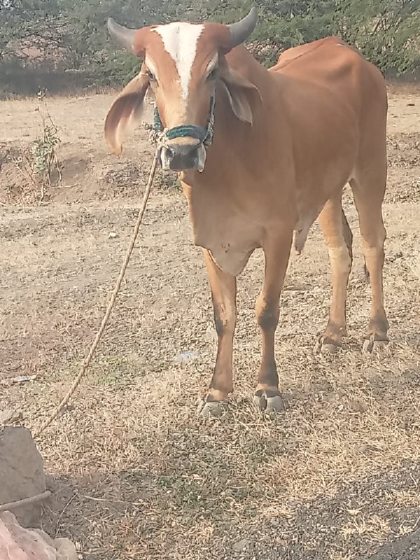 20,000 રૂપિયા ક...