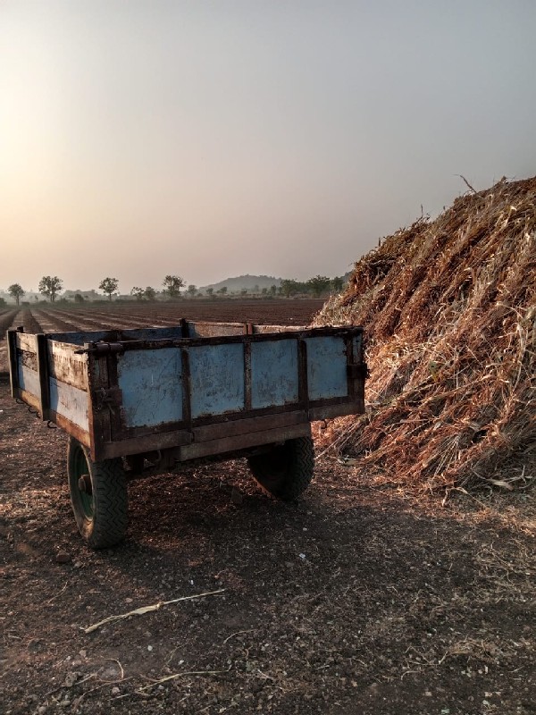 ટ્રોલી વેચવાની...