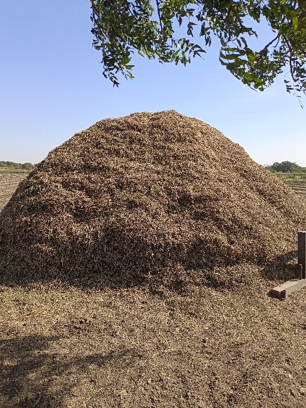 માનડવી નો ભુકો...