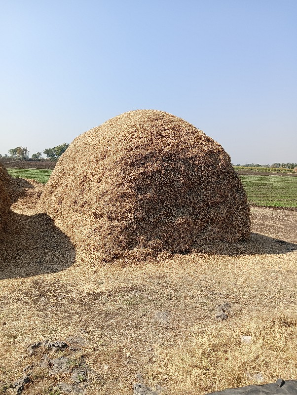 માંડવીયુ વેચવાન...