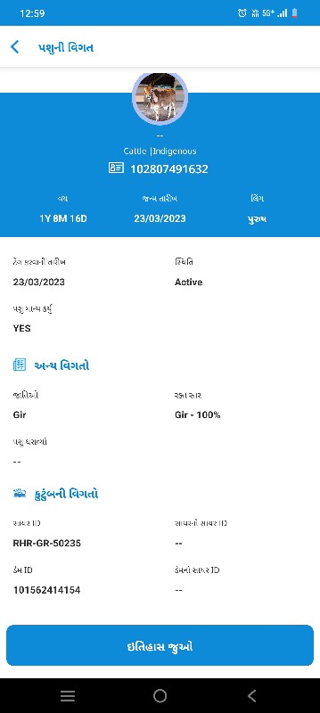 ઓરીઝનલ ગીર ખુંટ