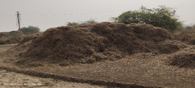 ભૂકો -માડવીયુ