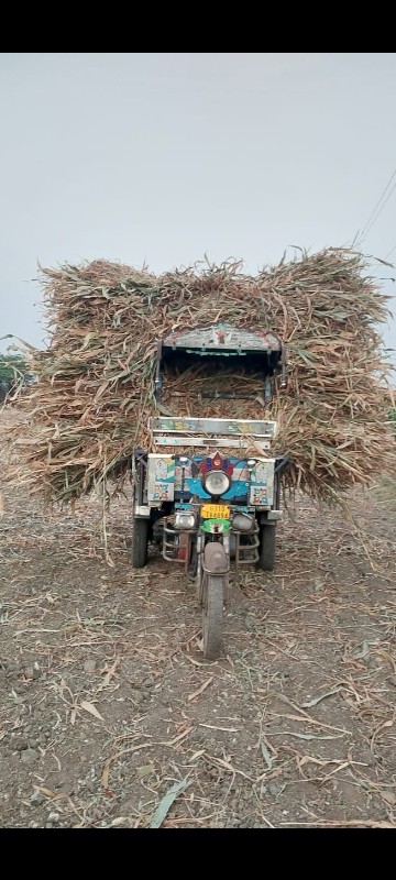 નીરણ તથા મગોઠું