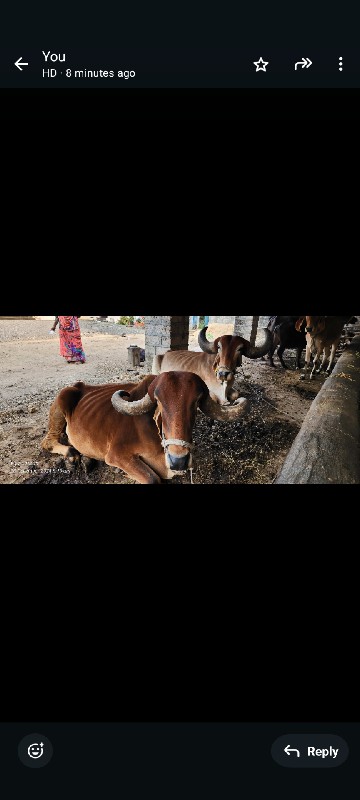 બરર્ધ વેચવાનાં...