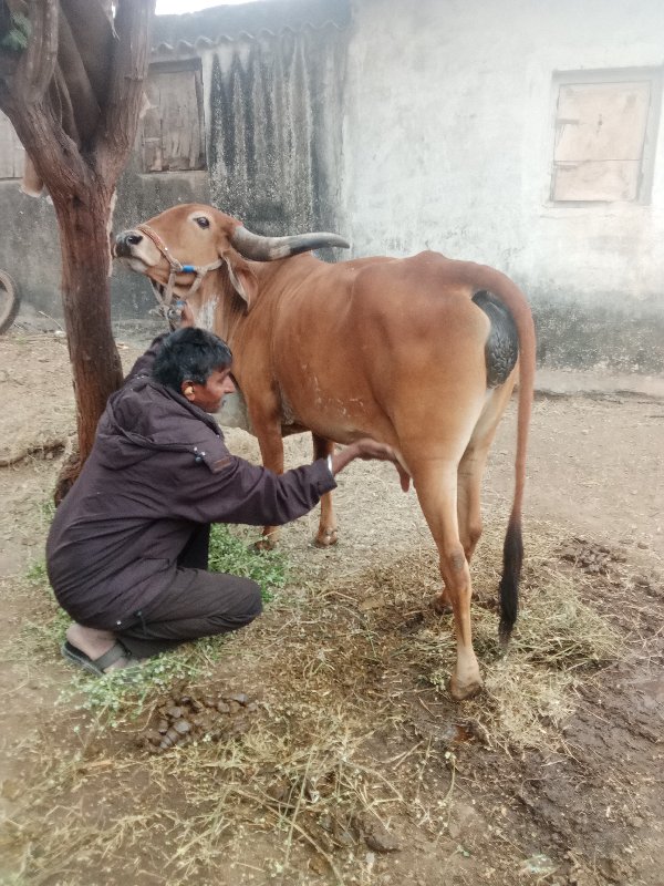 બેસવાની છે