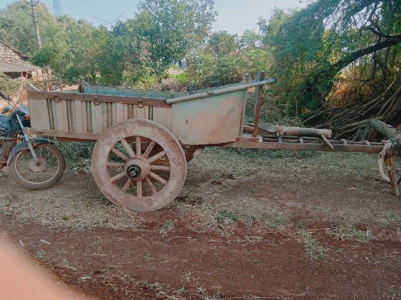 ટોટલ લોખંડ મા છ...