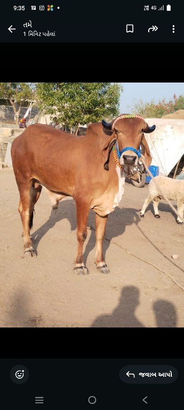 Ram Seva kela