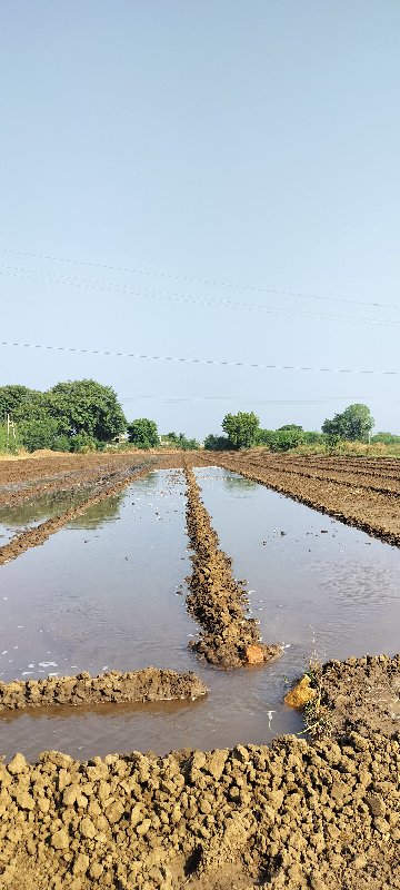 જમીનનું લેવલીંગ...