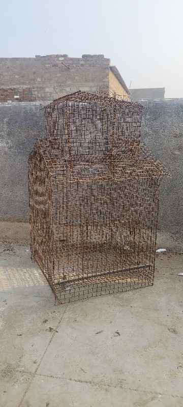 parrot cage for...