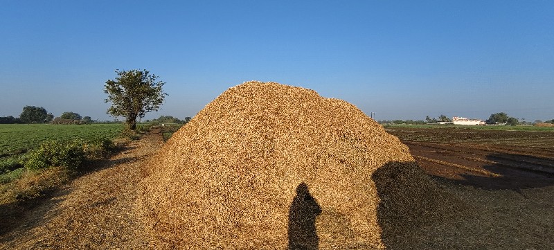 ડુચો વેચવાનો છે