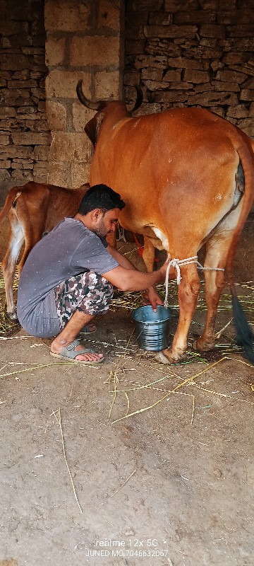 બે ઓળકી વેચવાની...