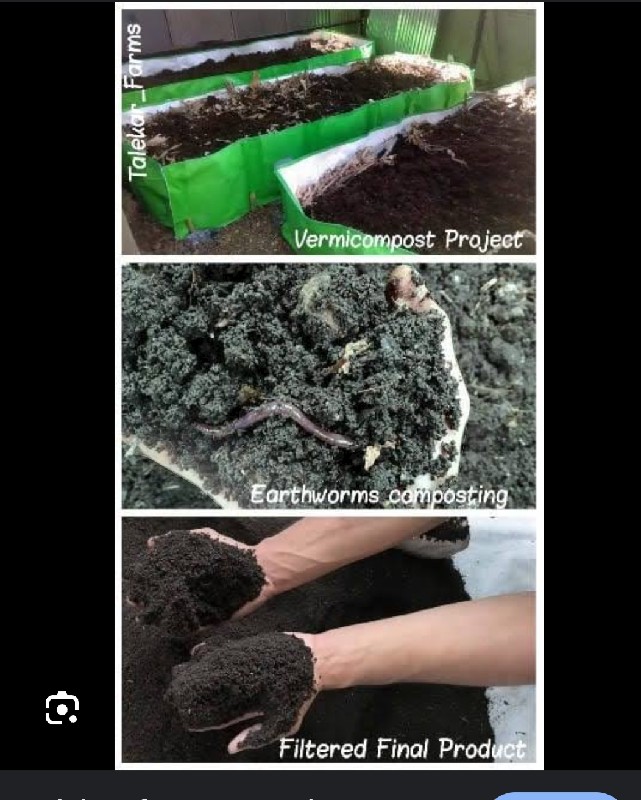 vermi compost k...