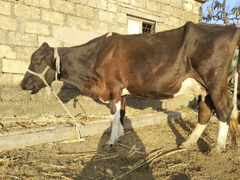 બીજું વેટર છે બ...