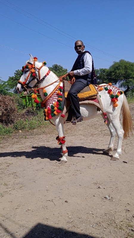 વેચવાની છે