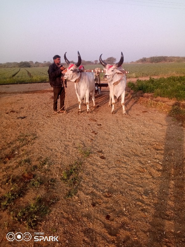 વેચવાનુછે