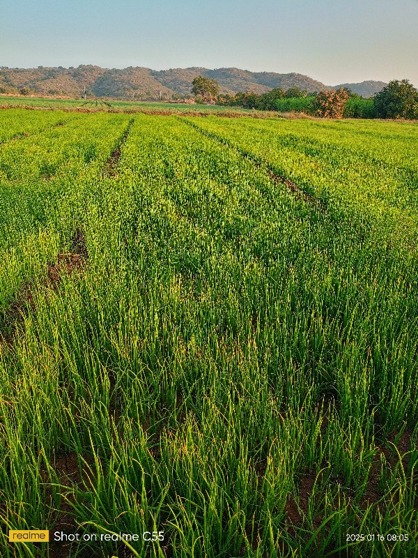 પીડીપતિ ડુંગરી...